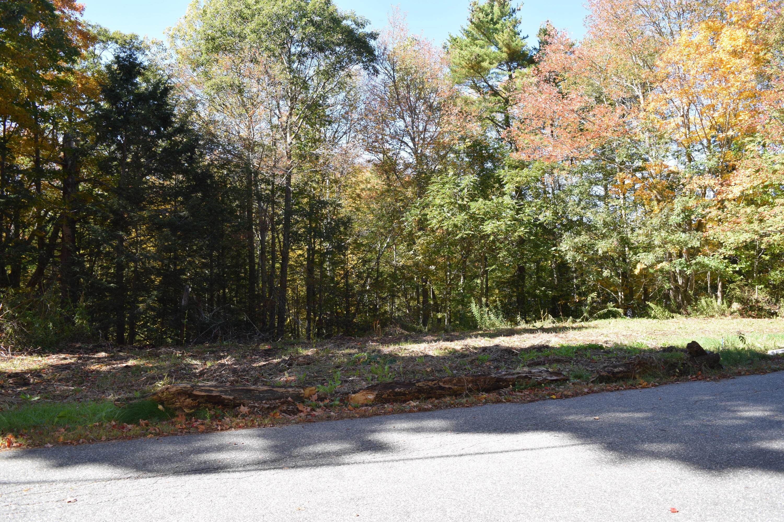 Lot #4B Coombs Road