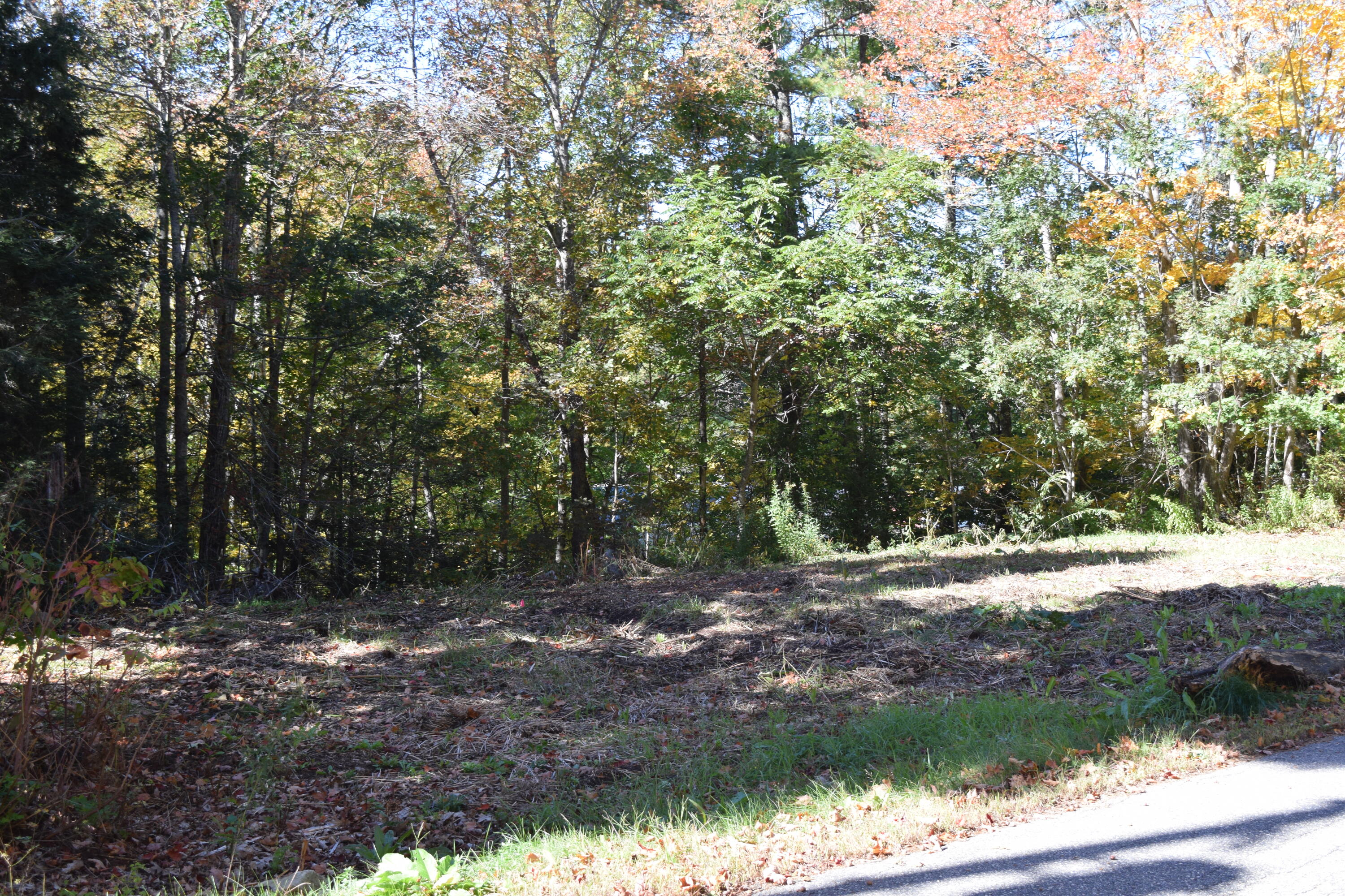 Lot #4B Coombs Road