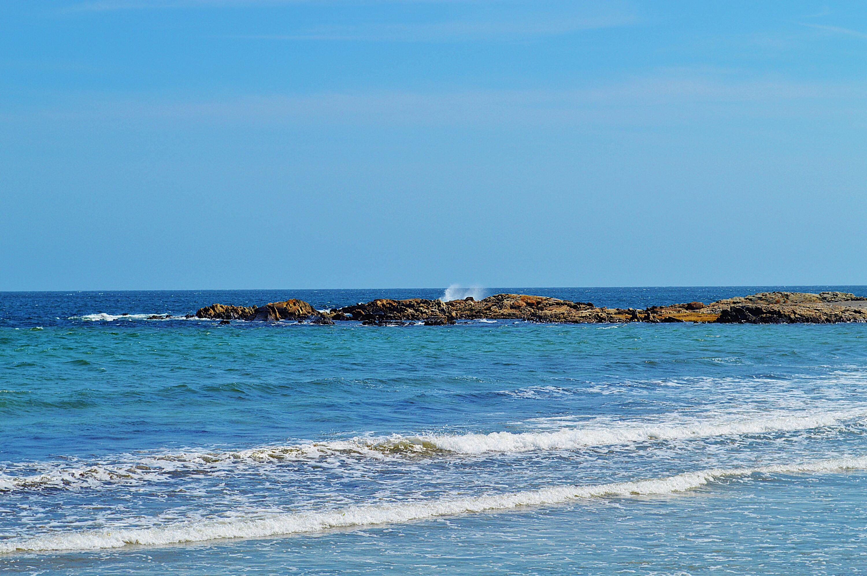 147 Beach Avenue 42