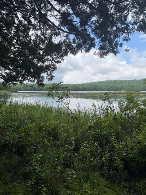 Photo of M1L112 Cove/Bear Brook Road, Sebec, ME 04481 (MLS # 1669335)