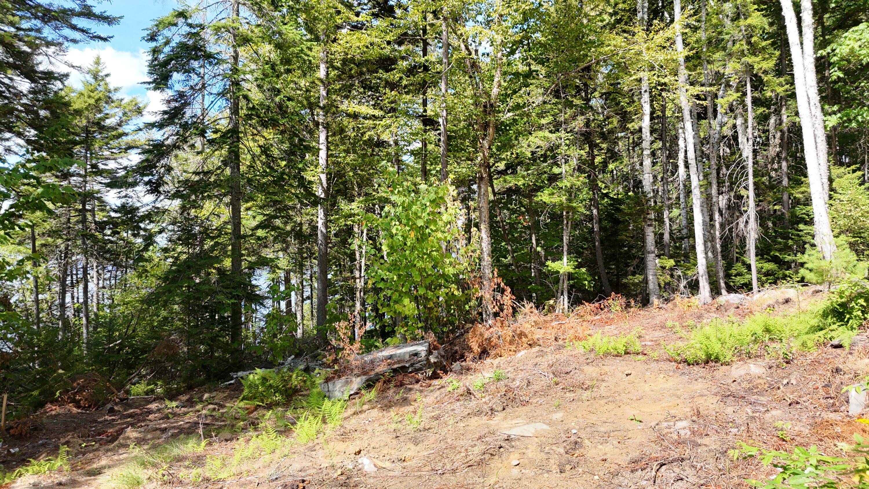 Lot 30 Wayne Avenue