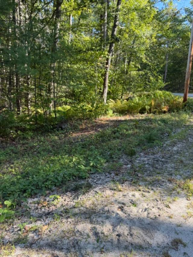 392 Cape Road
