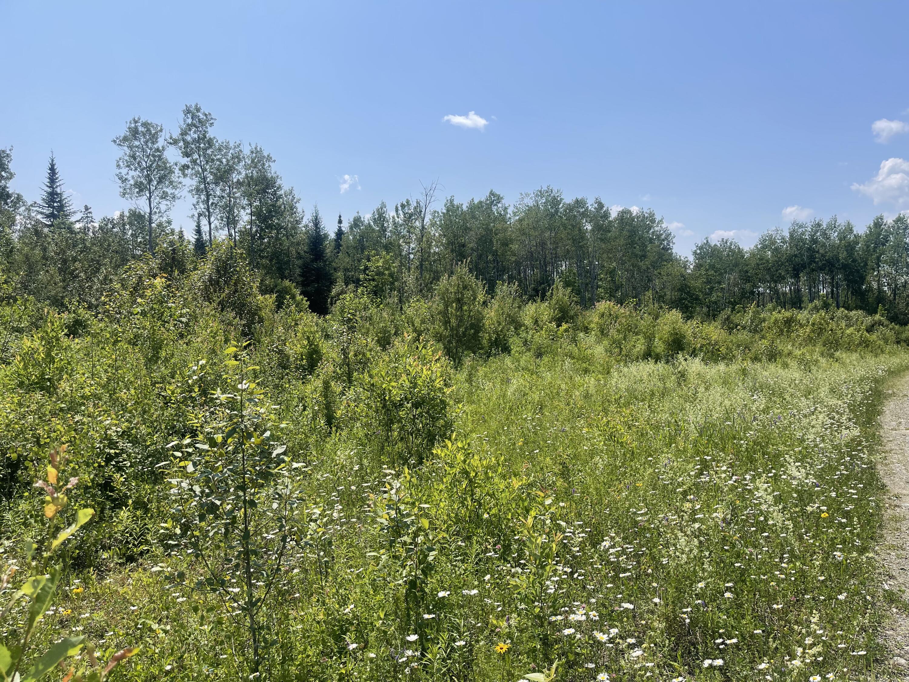 Lot 42 Lombard Road
