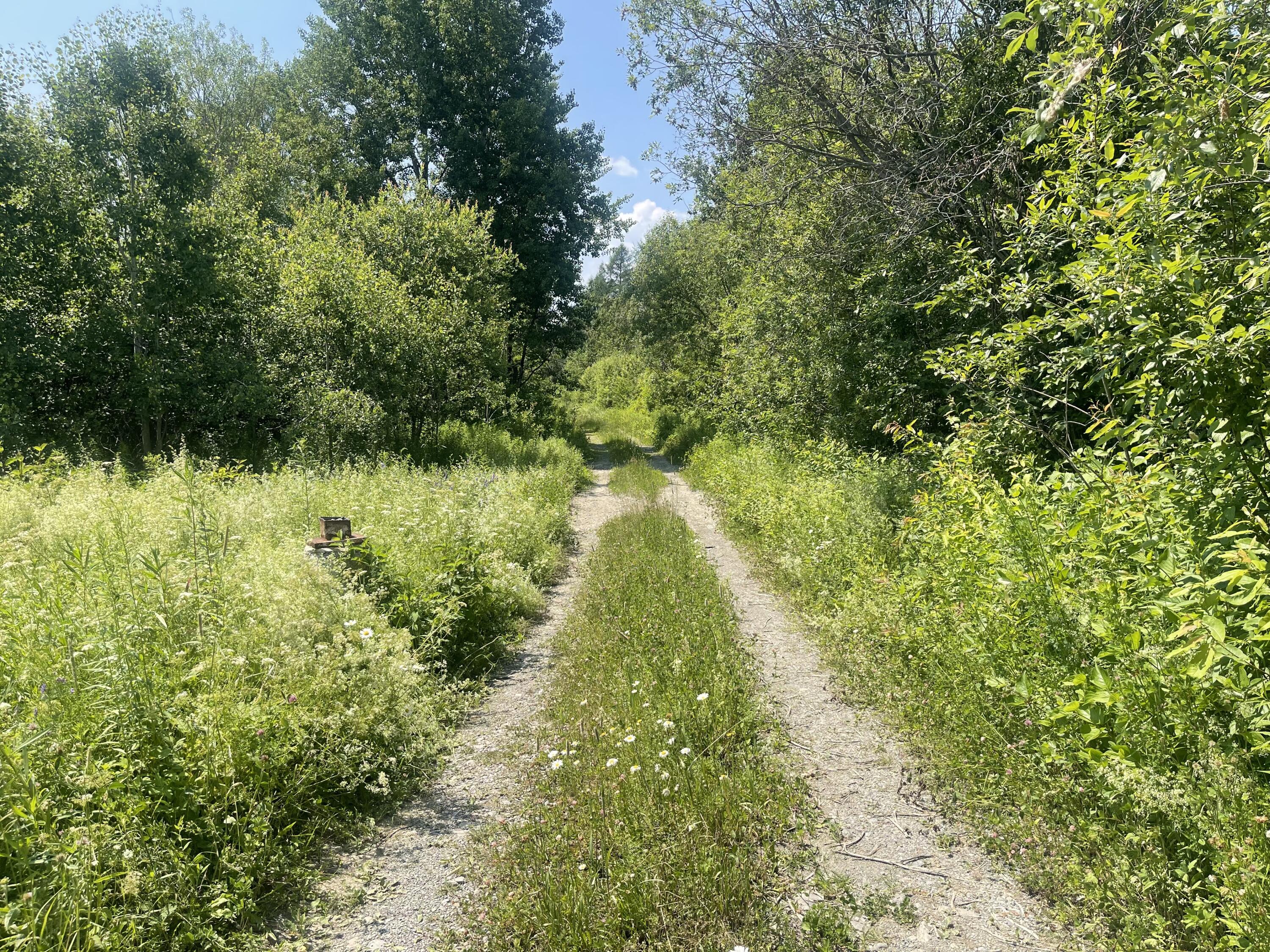 Lot 42 Lombard Road