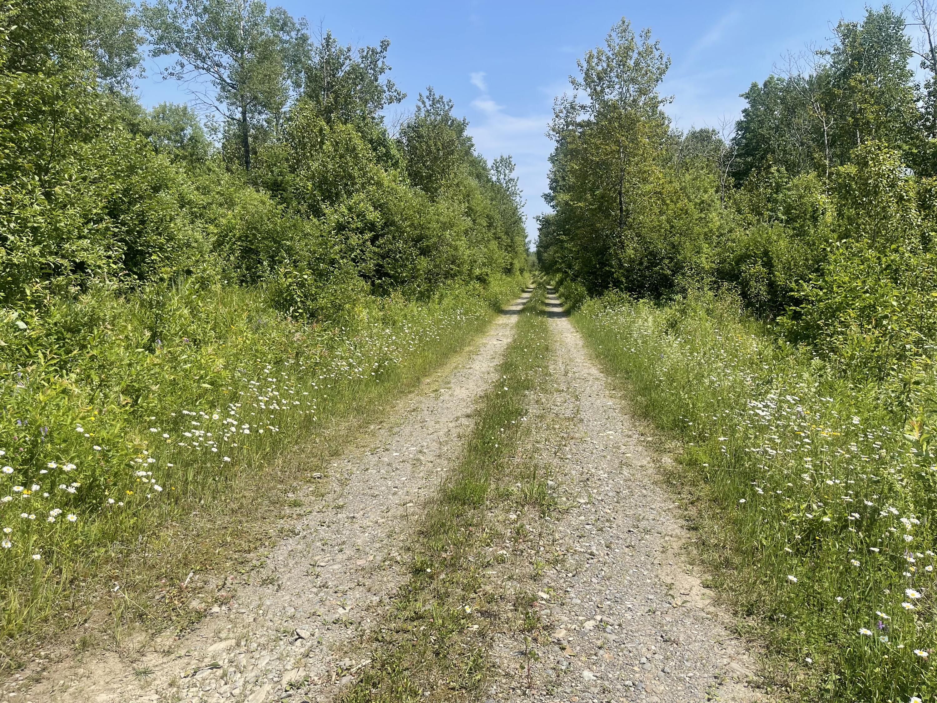 Lot 42 Lombard Road