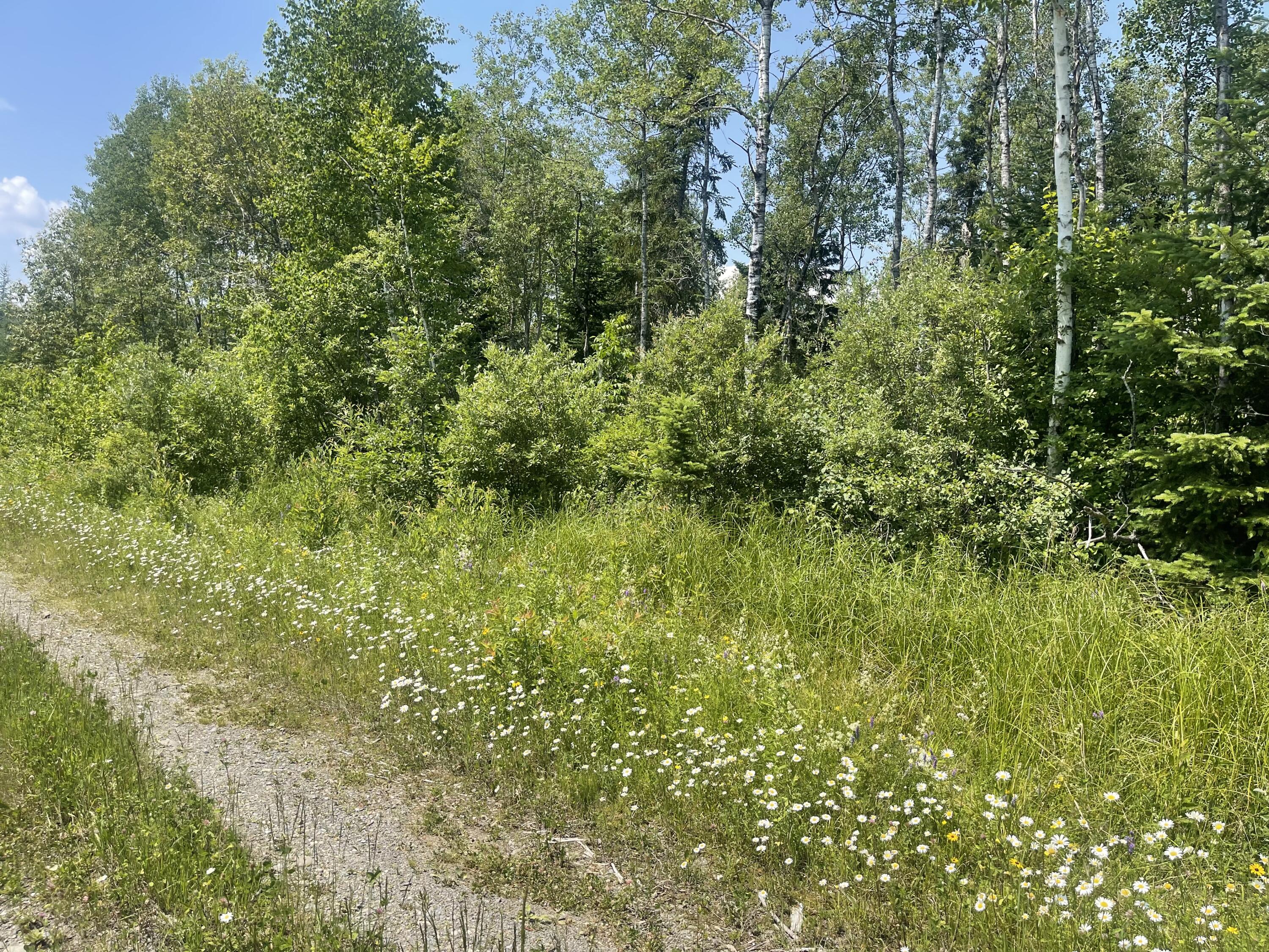 Lot 42 Lombard Road