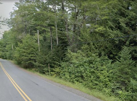 Photo of 0 Plummer Mill Road, Durham, ME 04222 (MLS # 1664661)