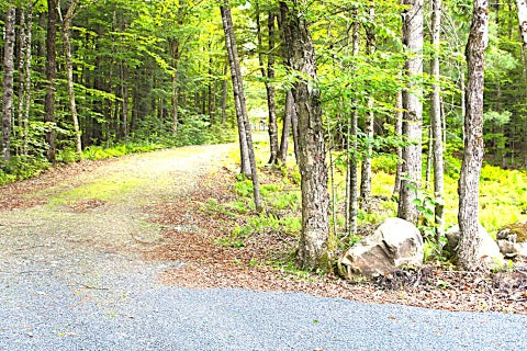 Photo of 14 Elk Drive, Embden, ME 04958 (MLS # 1668551)