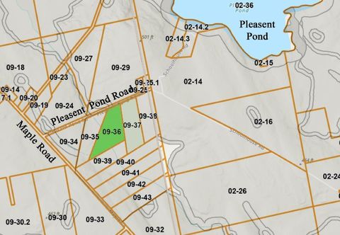 Photo of Lot 7 Pleasent Pond Road, Atkinson, ME 04426 (MLS # 1666860)