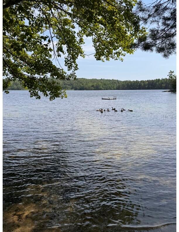 Photo of Lot #18 Biscay Road, Bremen, ME 04551 (MLS # 1669466)
