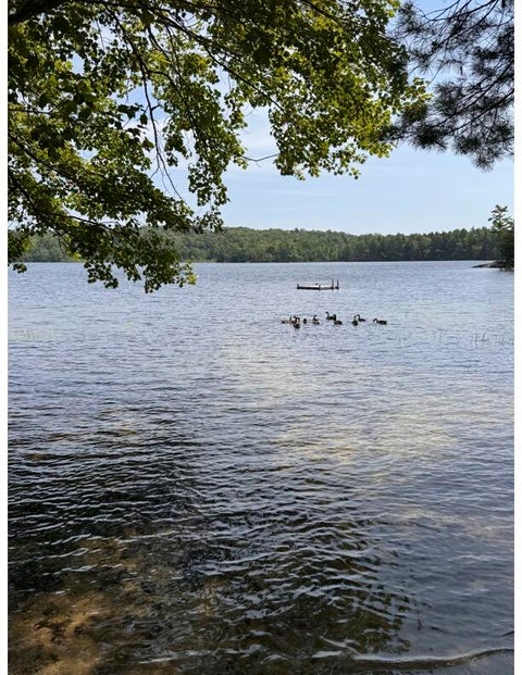 Photo of Lot #18 Biscay Road, Bremen, ME 04551 (MLS # 1669466)