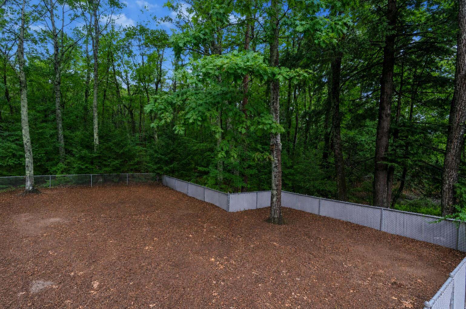 502 Ossipee Trail E
