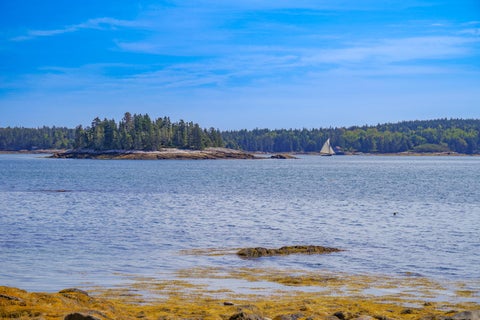 Photo of 423 Martin Point Road, Friendship, ME 04547 (MLS # 1668926)