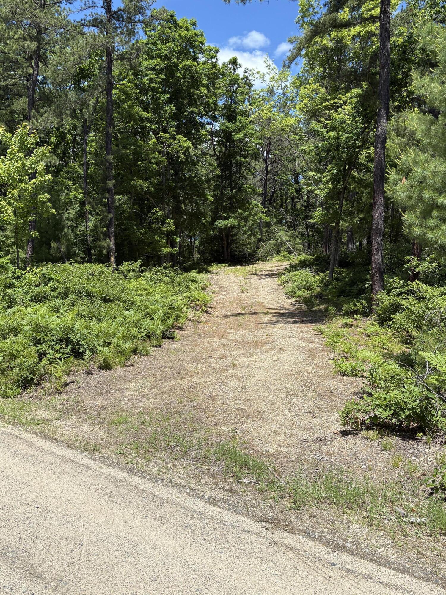 Lot 23, F2 Little Poverty Pond Road