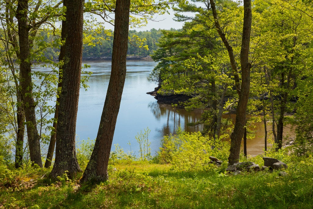 Photo of 213 Fiddlers Reach Road, Phippsburg, ME 04562 (MLS # 1665033)