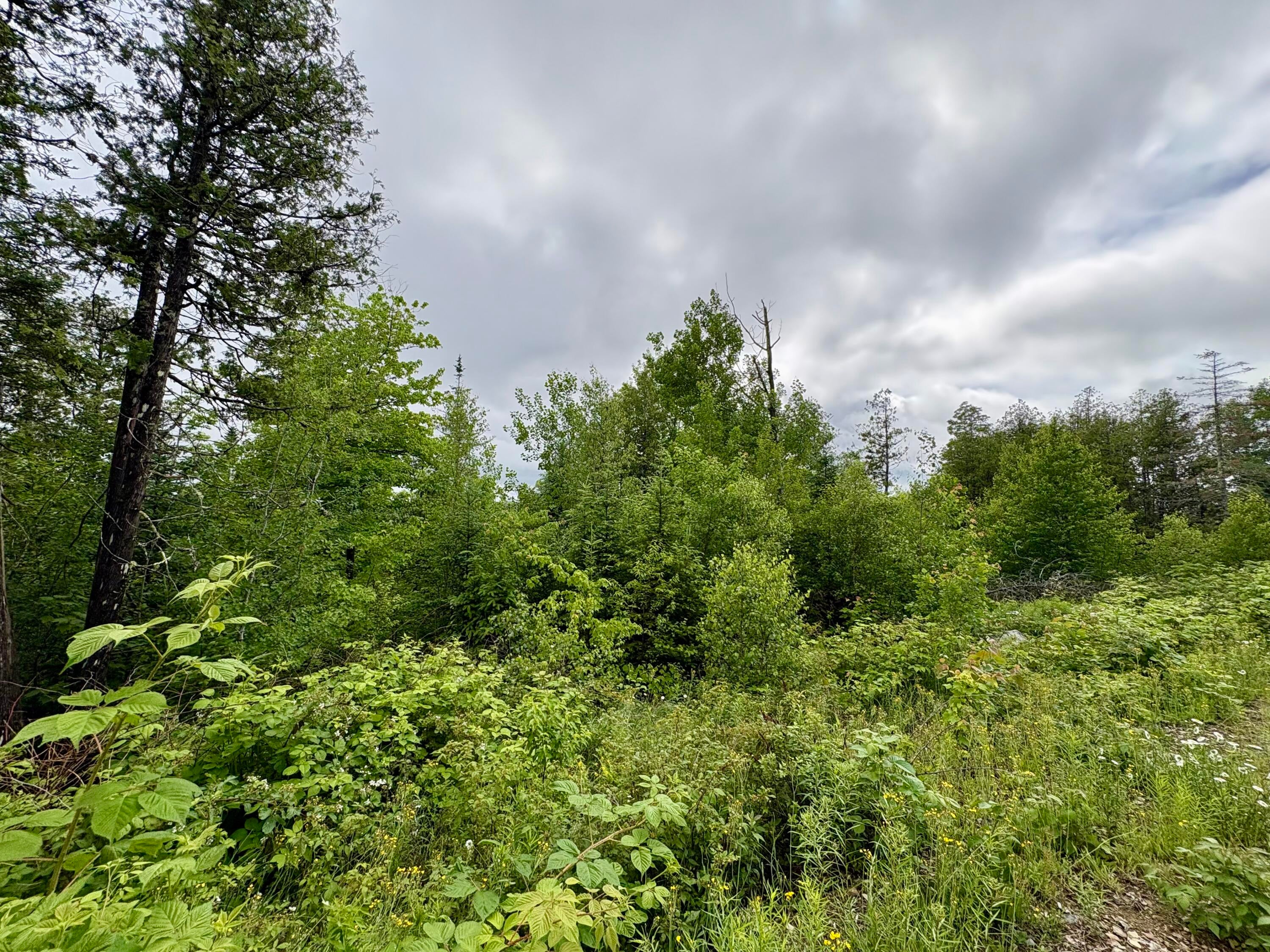 Lot 12 Mt. Jefferson Heights