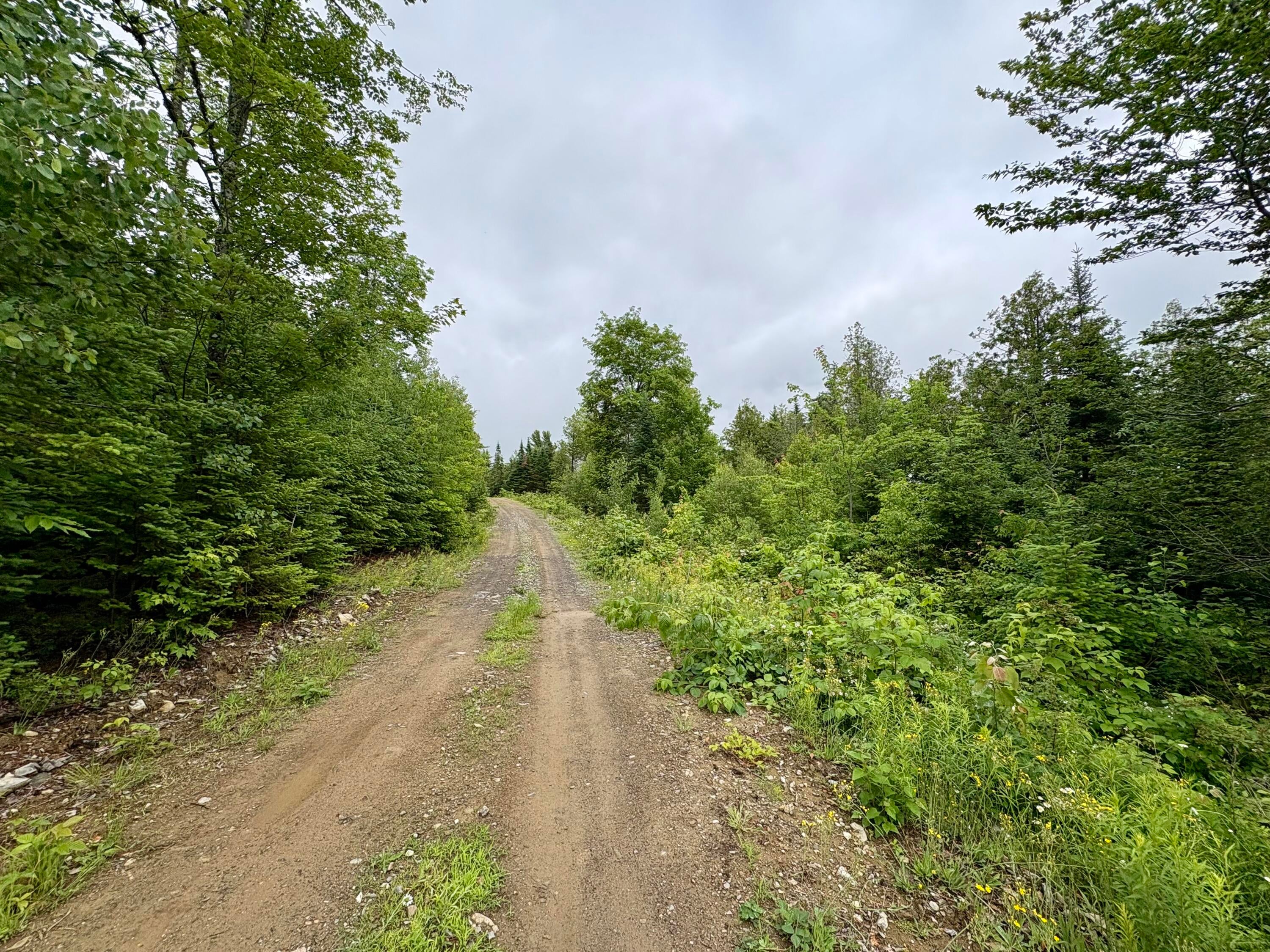 Lot 12 Mt. Jefferson Heights