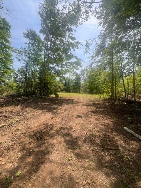 Photo of M4 P/O3 Estabrook Road, Amity, ME 04471 (MLS # 1670200)