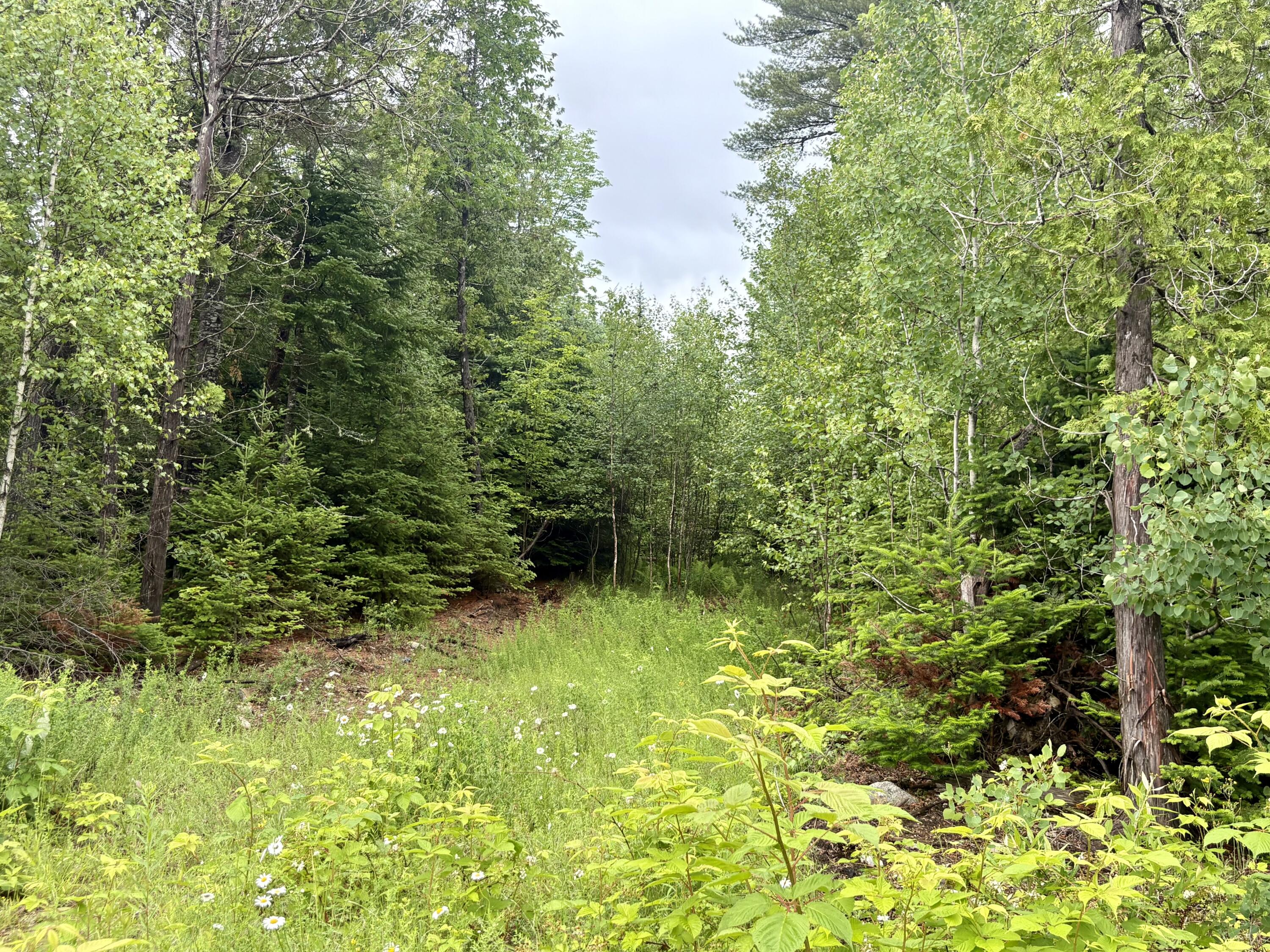 Lot 3 Mt. Jefferson Heights
