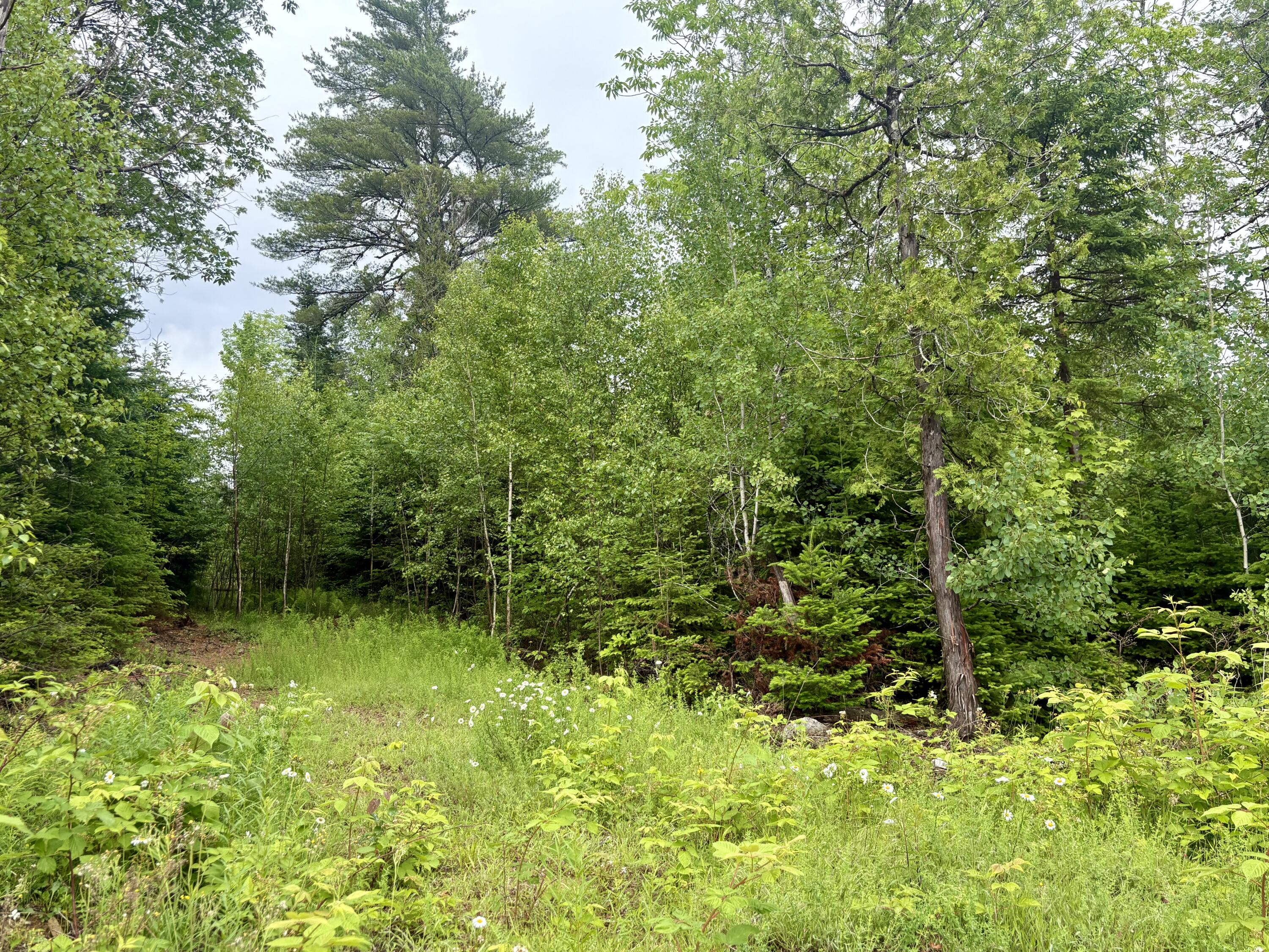 Lot 3 Mt. Jefferson Heights