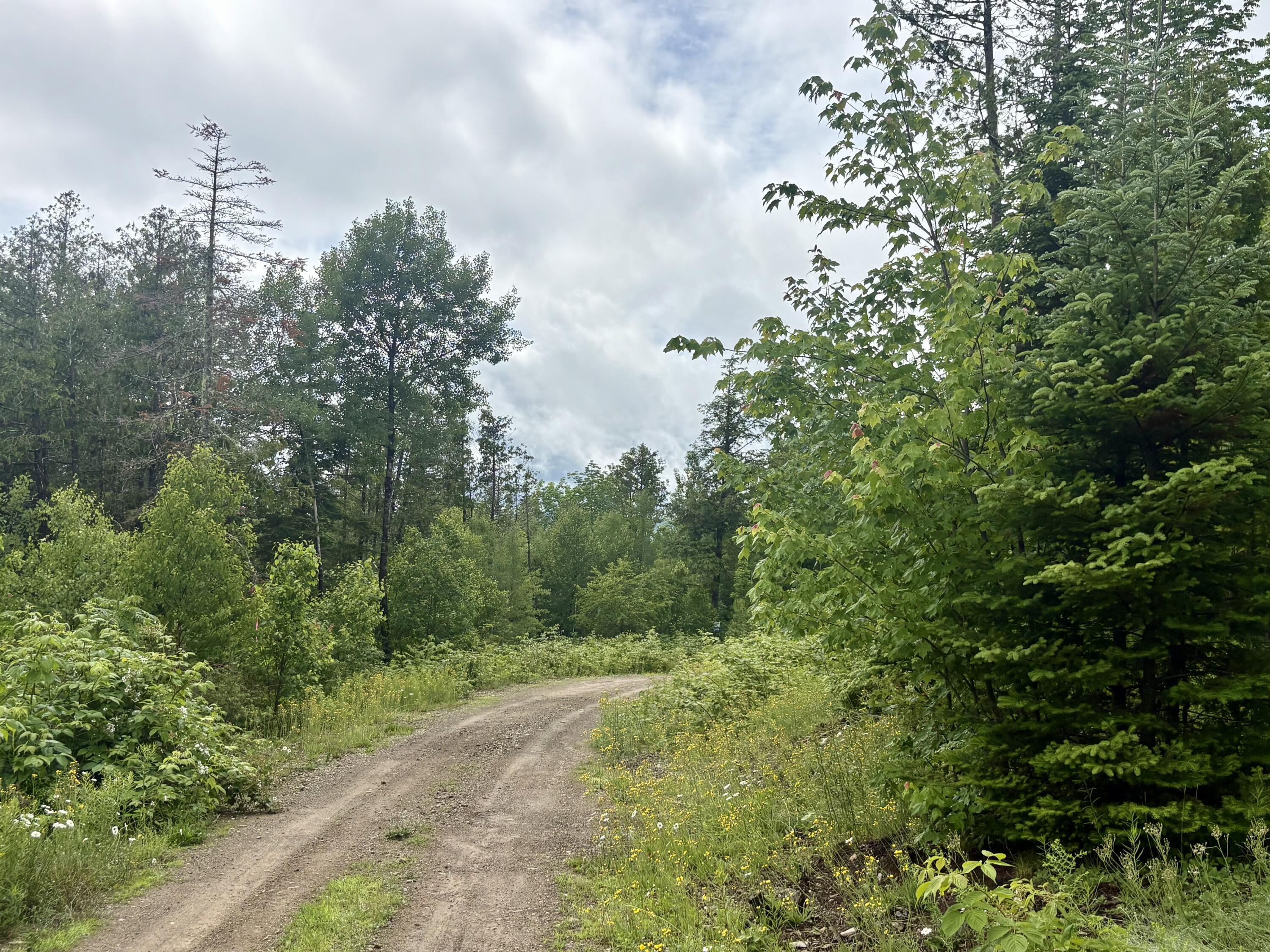Lot 3 Mt. Jefferson Heights