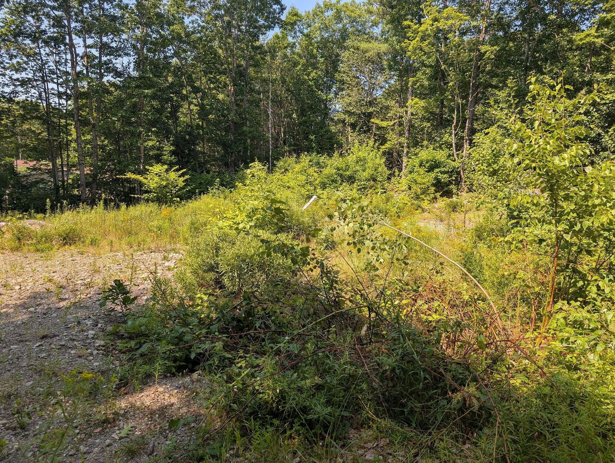 234 Bolton Hill Road