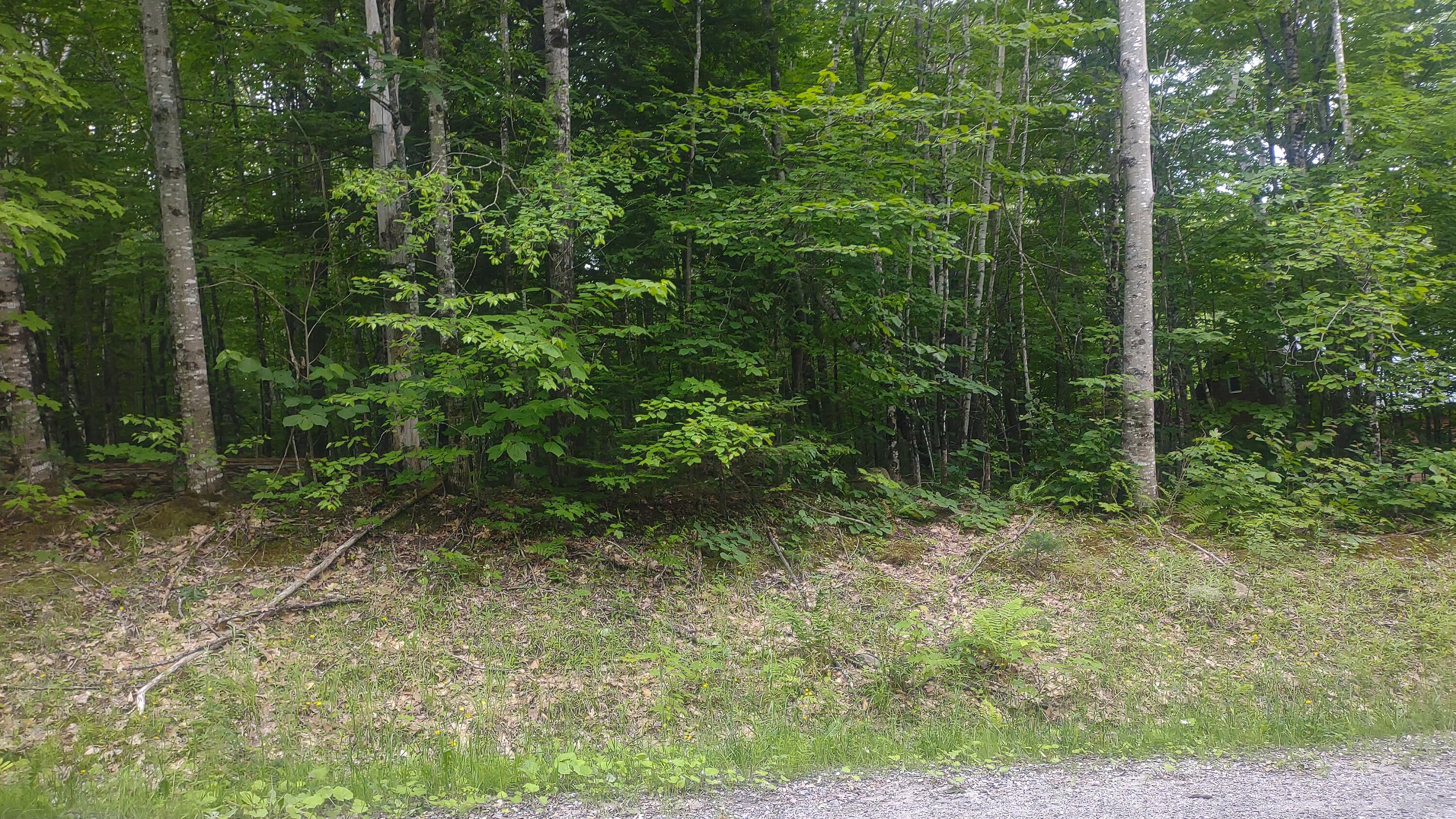 TBD Stream Road Road