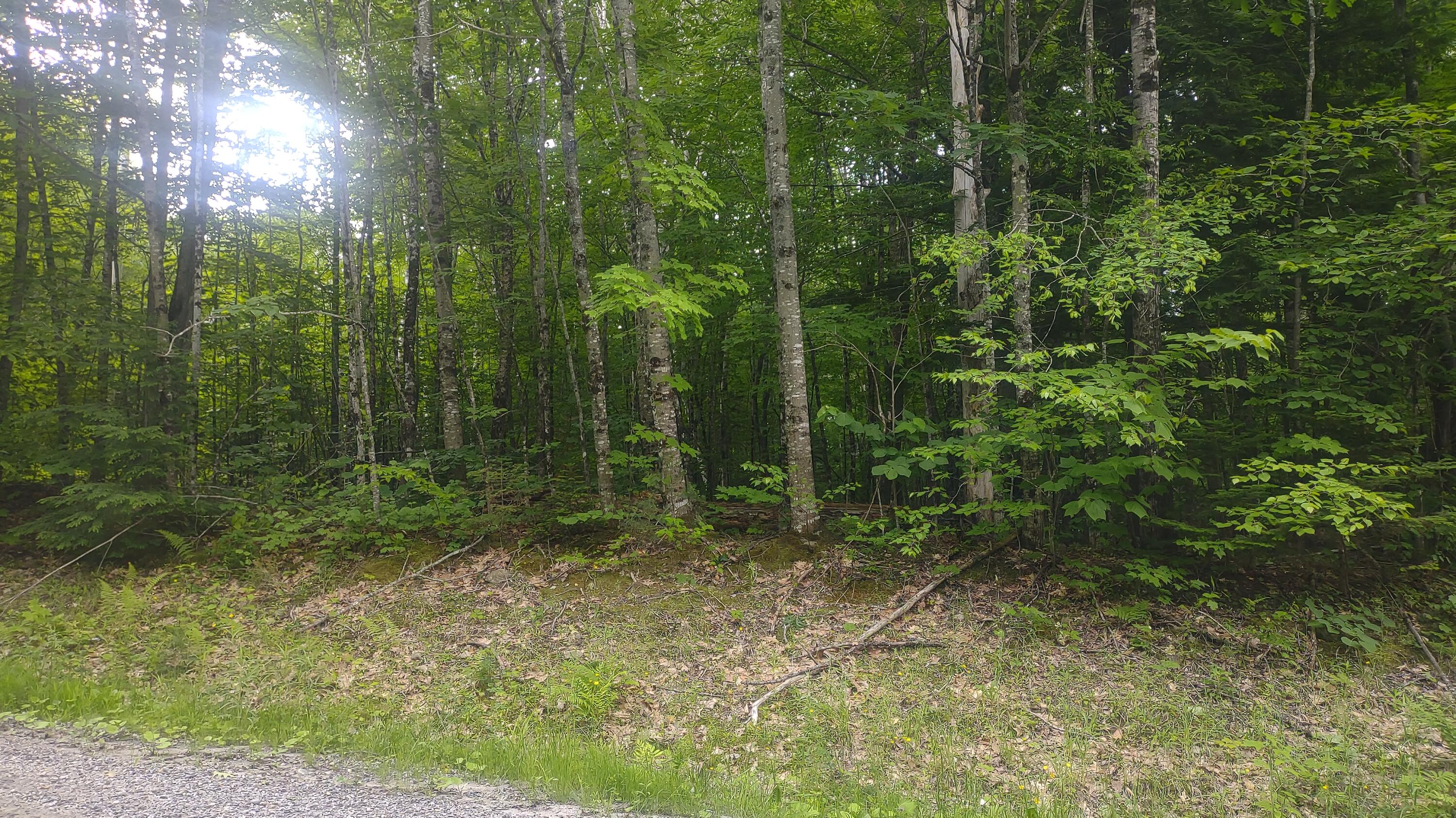 TBD Stream Road Road