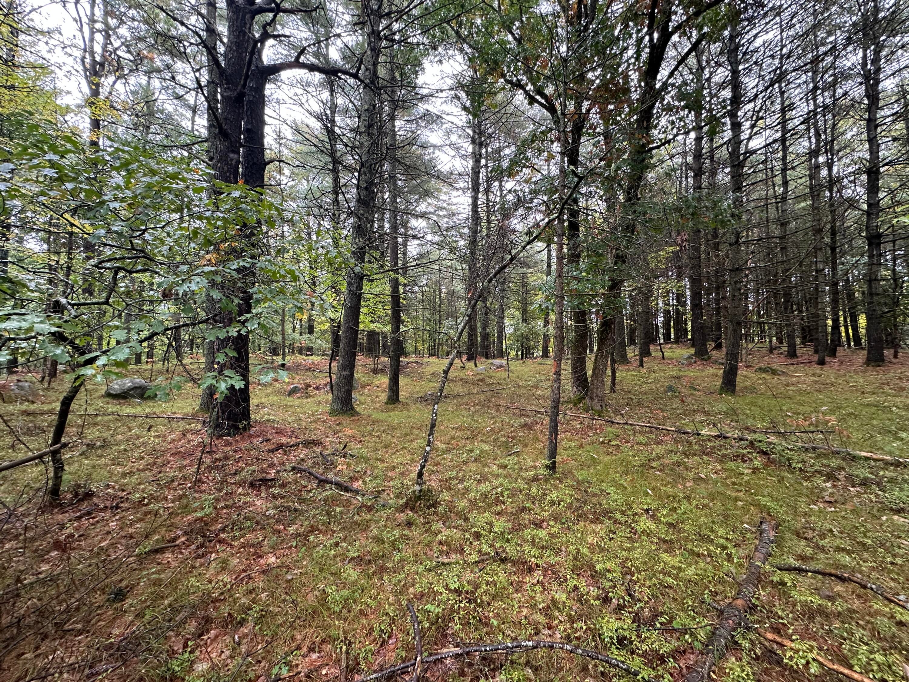 Lot 61.3 Sand Pond Road