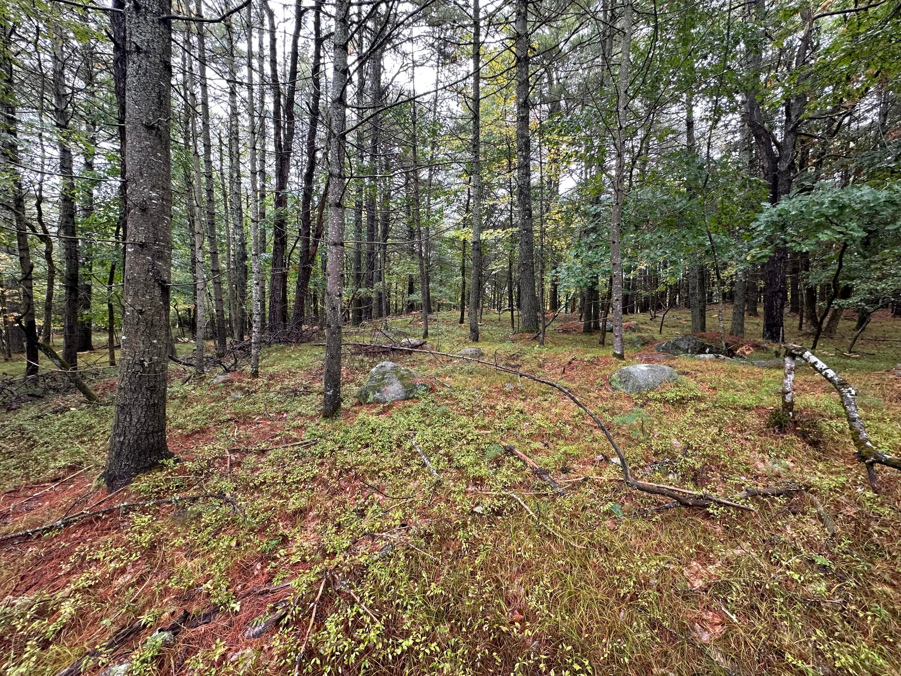 Lot 61.3 Sand Pond Road