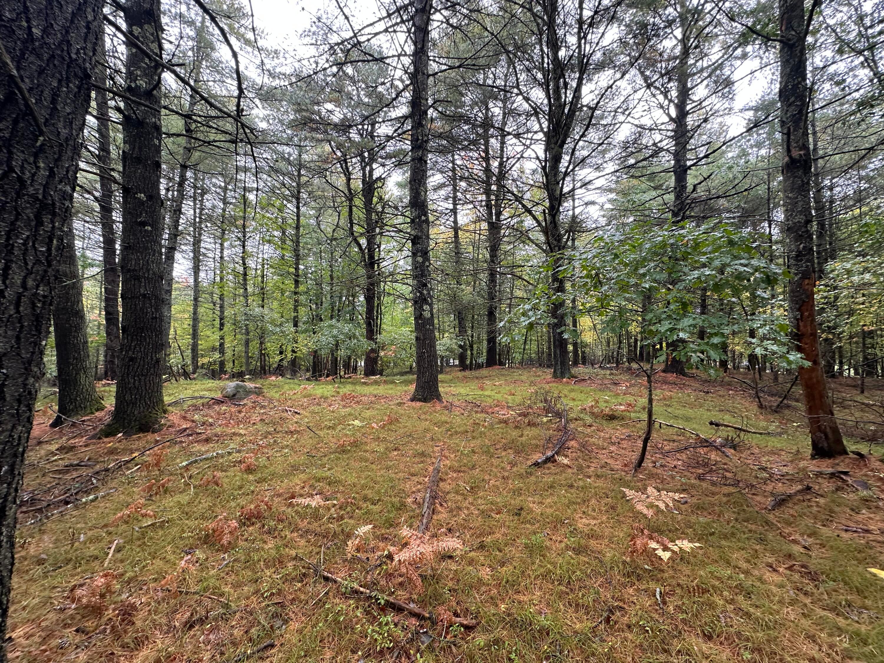 Lot 61.3 Sand Pond Road