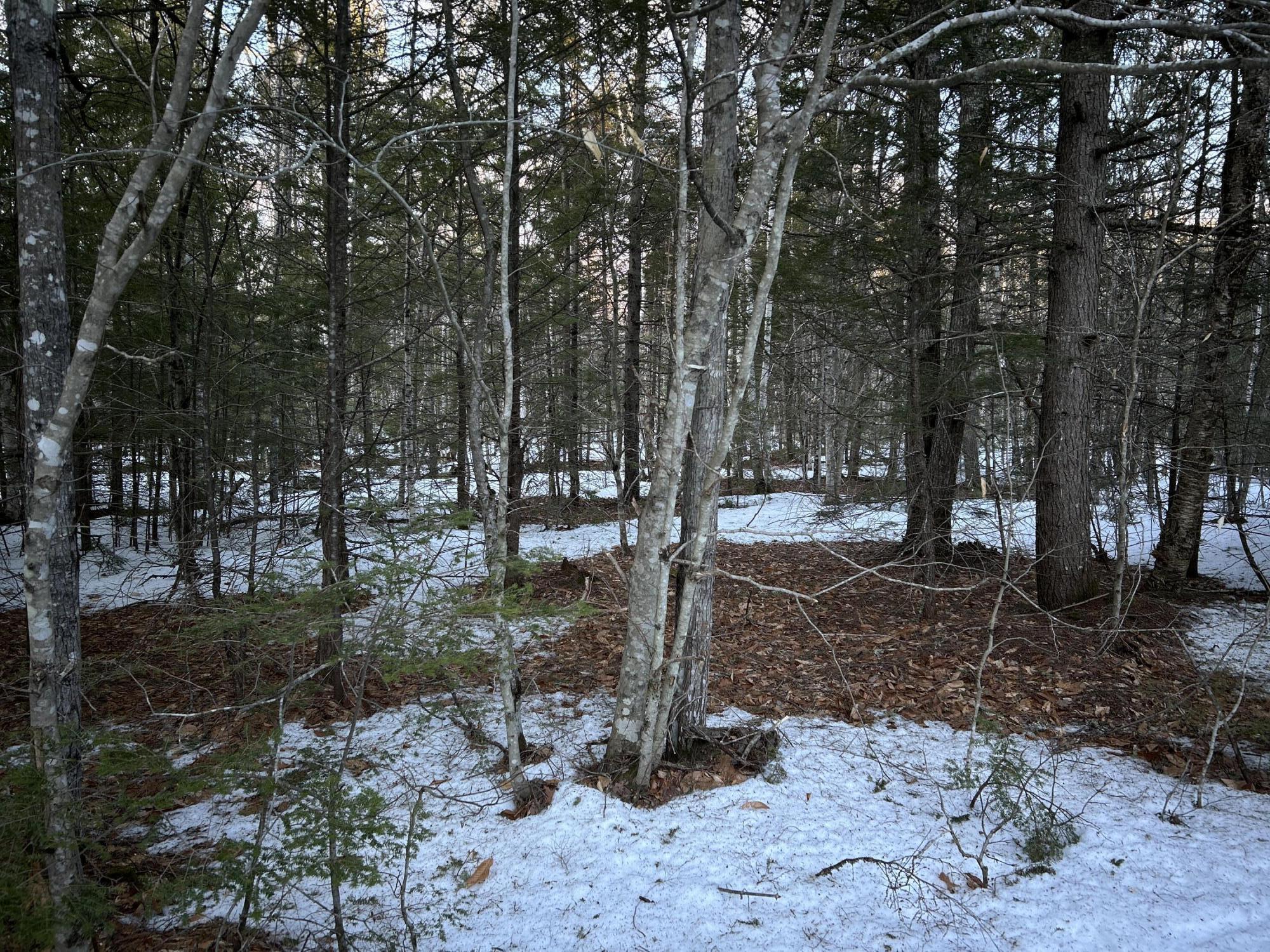 Map13Lot11 Field View Road