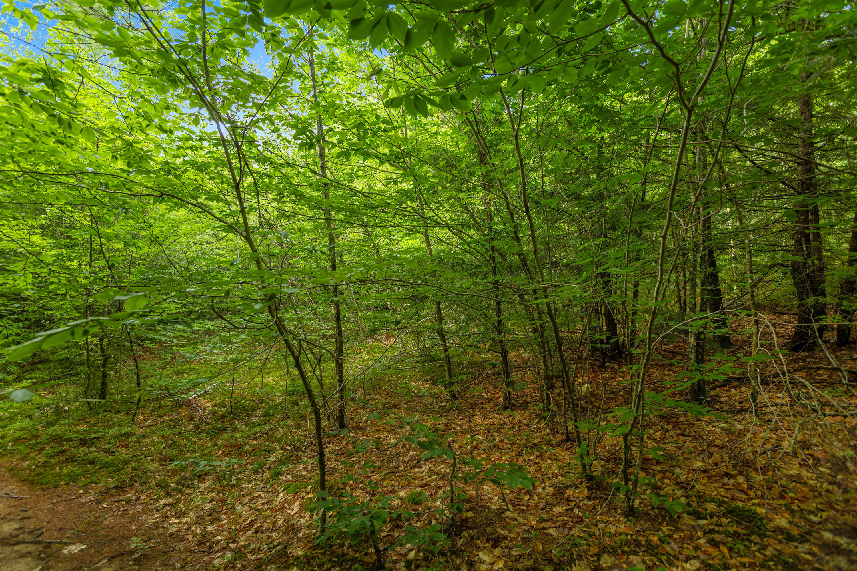 Map13Lot11 Field View Road