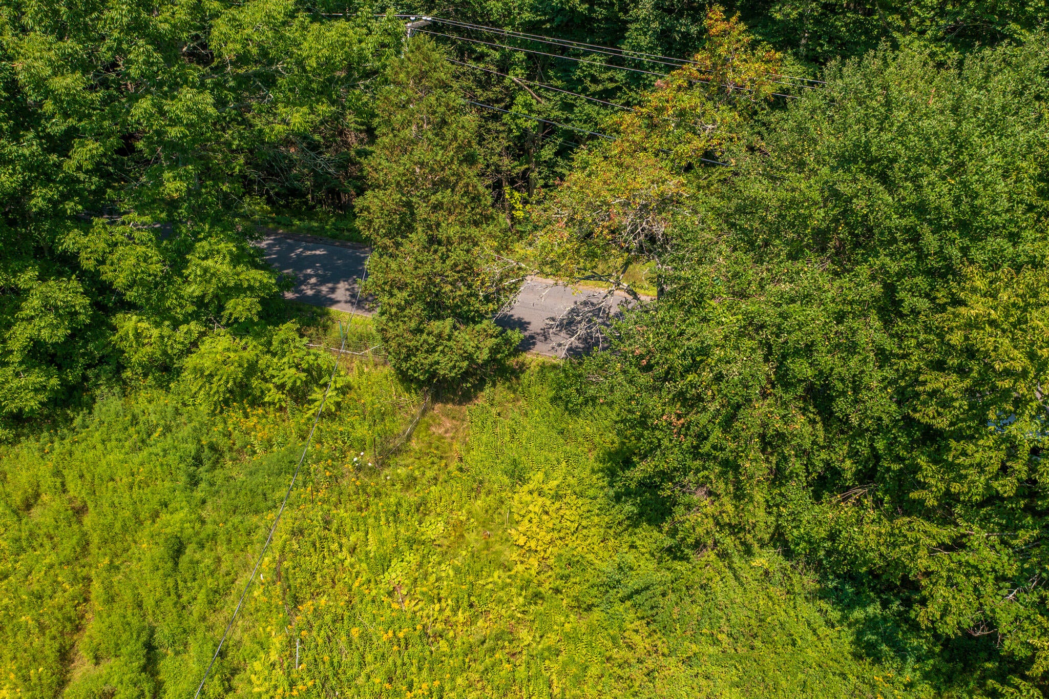 450 Molyneaux Road
