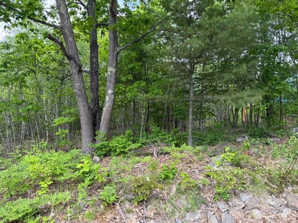 Photo of 534 Whitefield Road, Pittston, ME 04345 (MLS # 1664120)