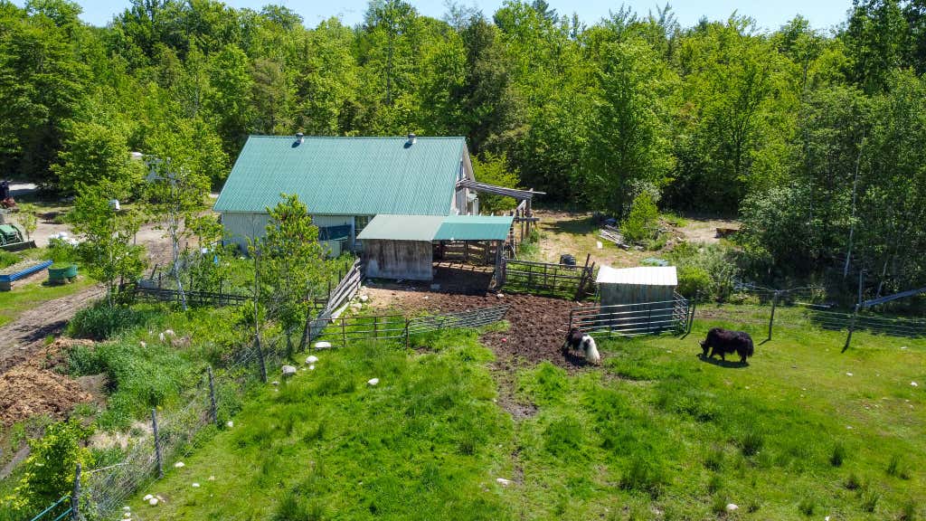 Photo of 188 Nelson Drive, Waterford, ME 04088 (MLS # 1668089)