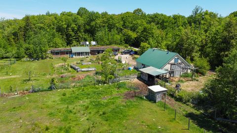 Photo of 188 Nelson Drive, Waterford, ME 04088 (MLS # 1668089)