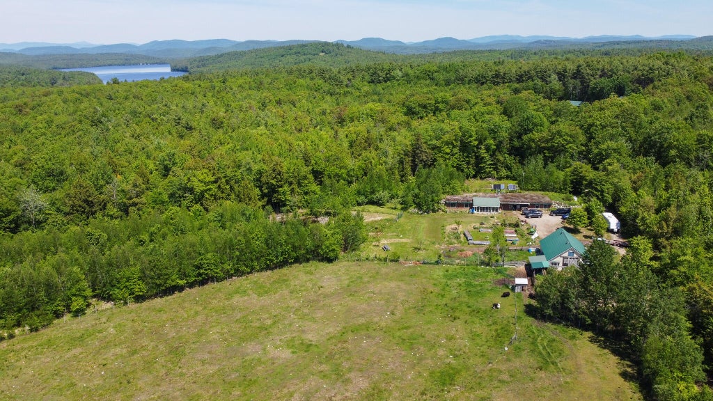 Photo of 188 Nelson Drive, Waterford, ME 04088 (MLS # 1668089)