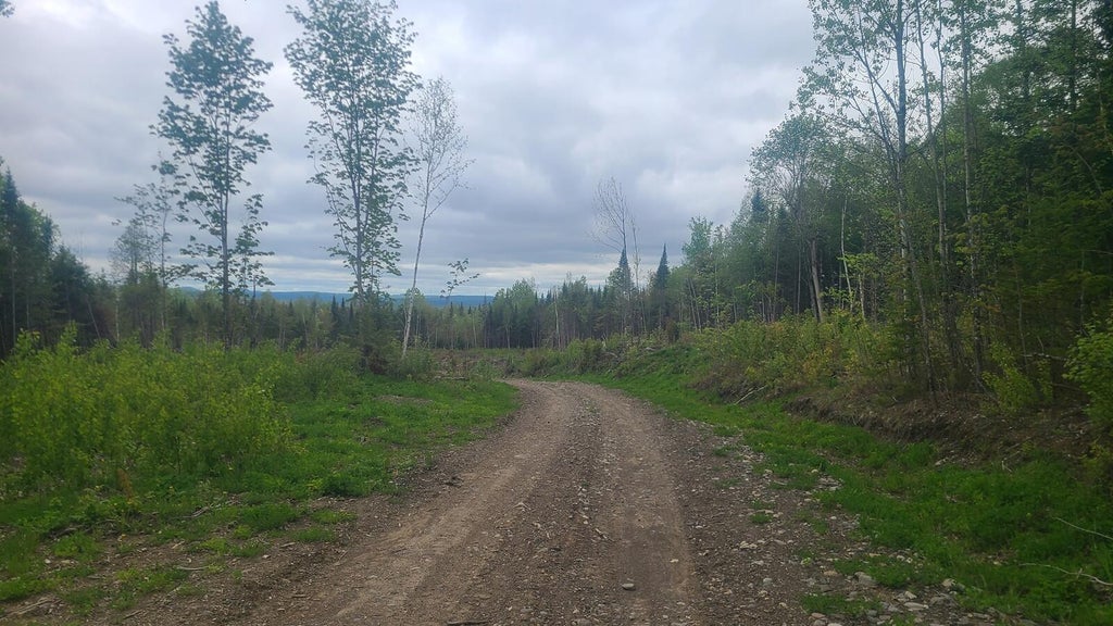Photo of 26/28/33/4 Aroostook Road, Portage Lake, ME 04768 (MLS # 1663037)