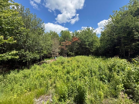 Photo of Lot 27 Lively Brook Acres, Whiting, ME 04691 (MLS # 1667659)