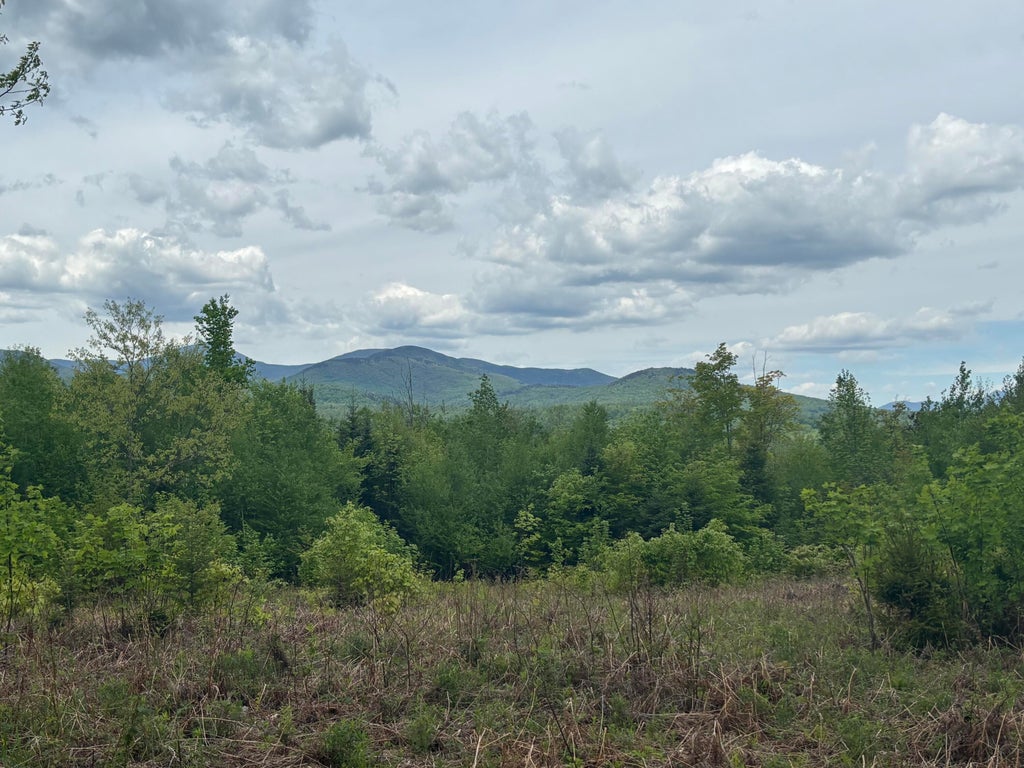 Photo of Lot #20 Hollis Drive (Eagle Ridge) Road, Kingfield, ME 04947 (MLS # 1661536)