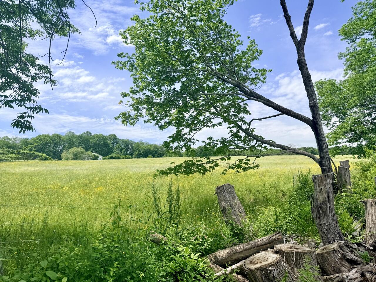 Lot # 96-2 Monroe Road