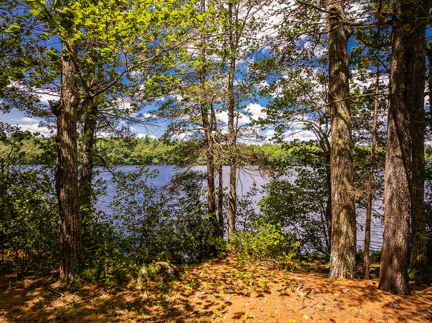 Lot 1 Aldus Shores Road