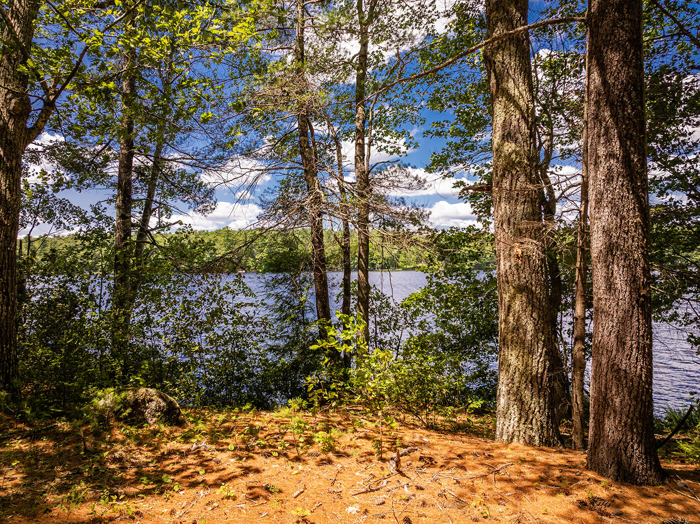 Lot 1 Aldus Shores Road
