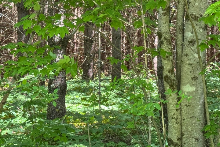 11- 52-Mountainview Lane - Land Lots - J