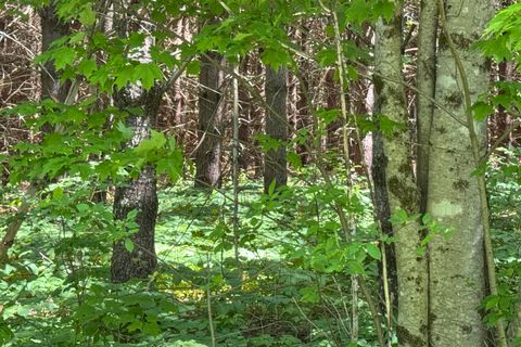 Photo of lot 23 Mountain View Lane, Hope, ME 04847 (MLS # 1667263)