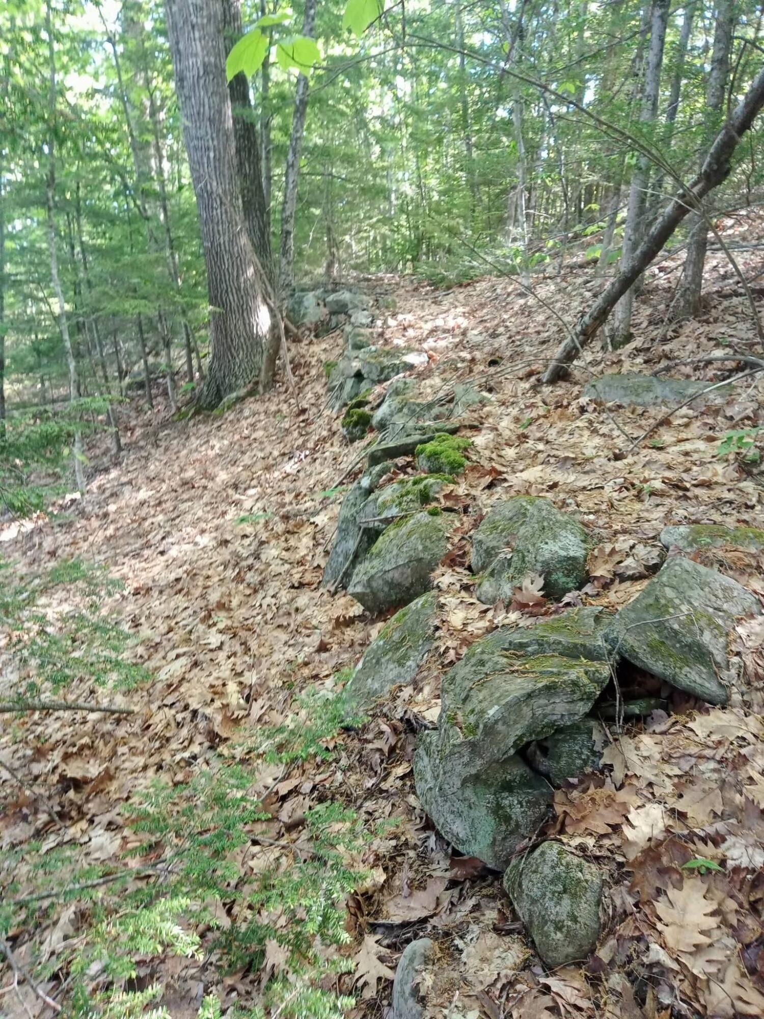 000 Ridge School Road