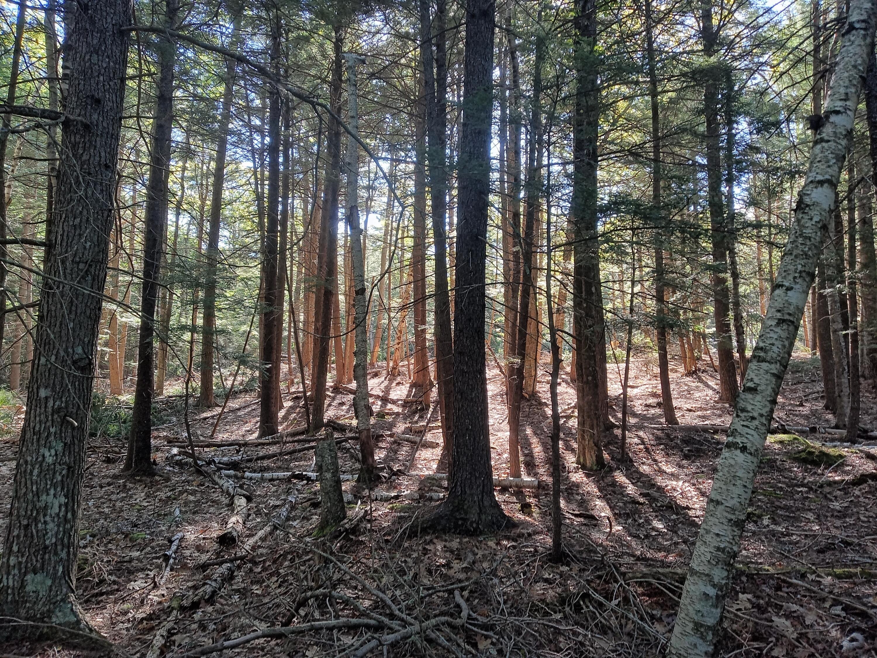 000 Ridge School Road