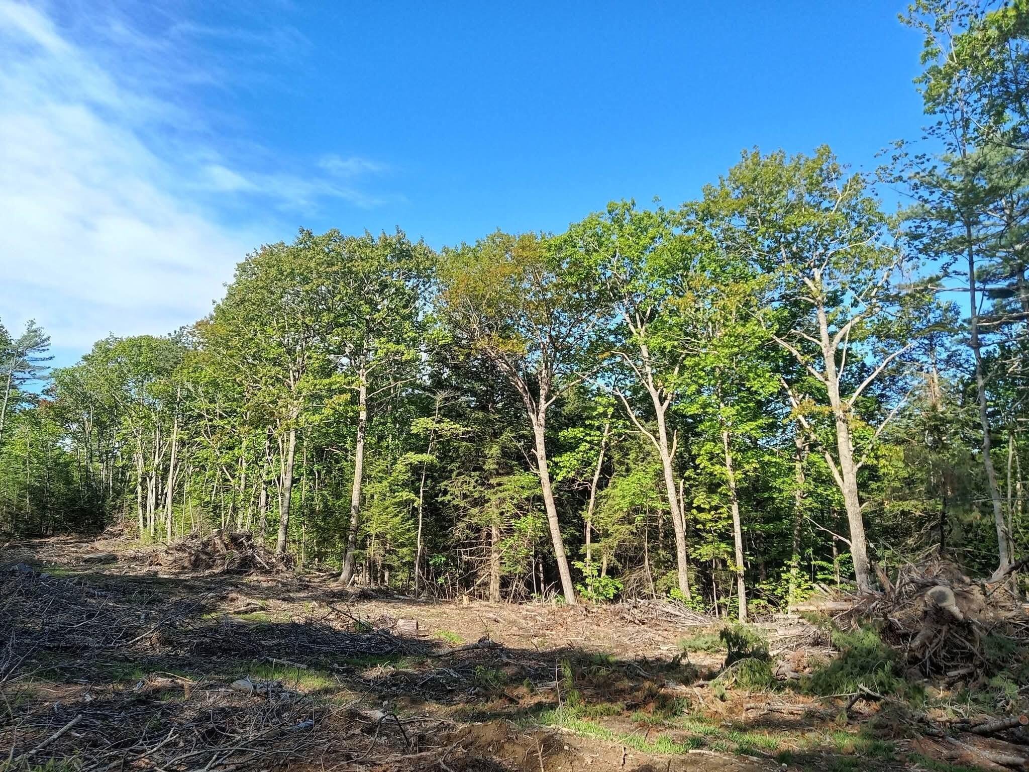 000 Ridge School Road