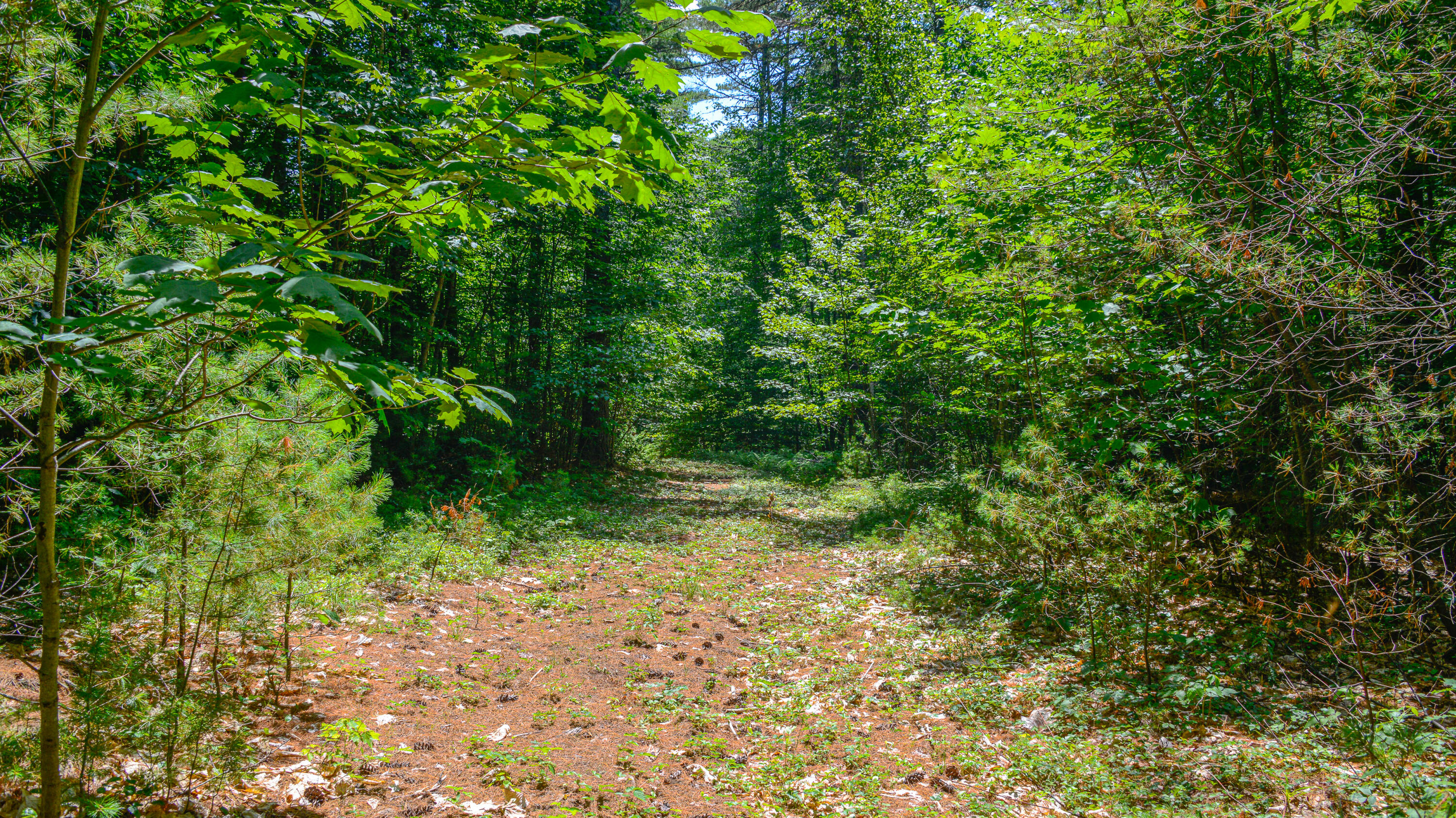 R08-004 Fern Drive TBD